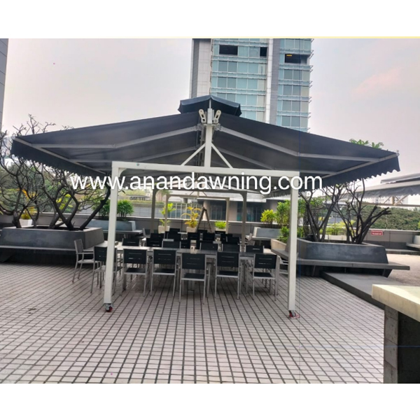 Two Way Awning